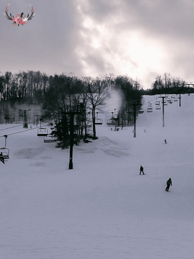 Experience Mt. Snow