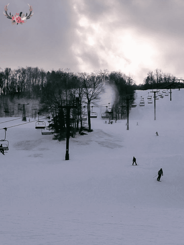 Experience Mt. Snow Ever After in the Woods