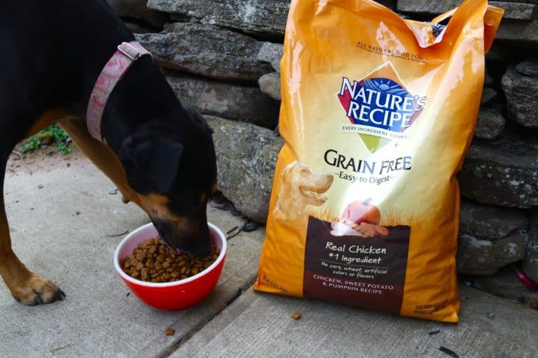 Fuel the Wag