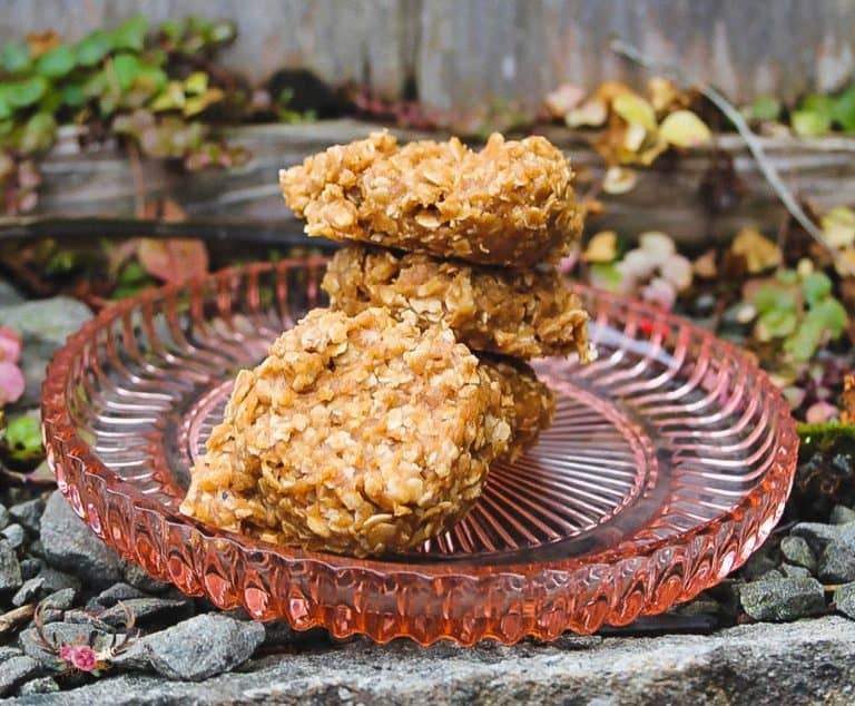 Peanut Butter No Bake Cookies