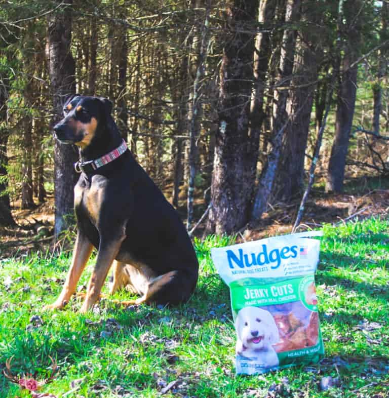 Celebrate National Pet Month with Nudges® Chicken Jerky Dog Treats