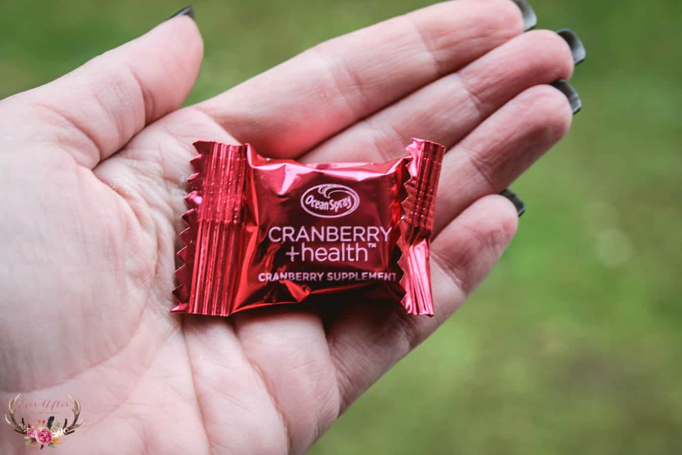 Ocean Spray® CRANBERRY +health™ Soft Chews 