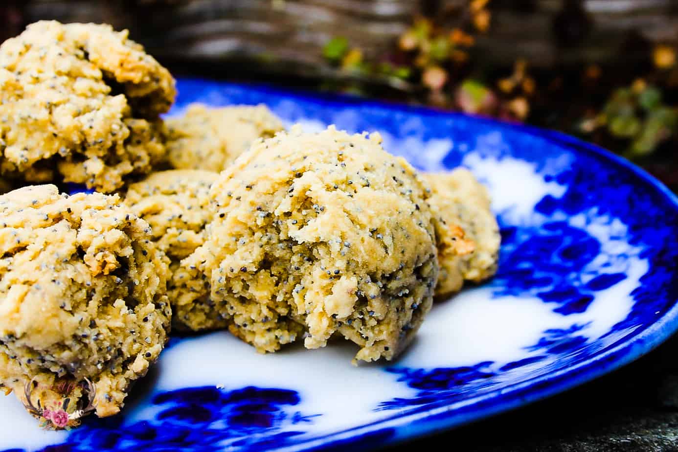 olive oil cookies