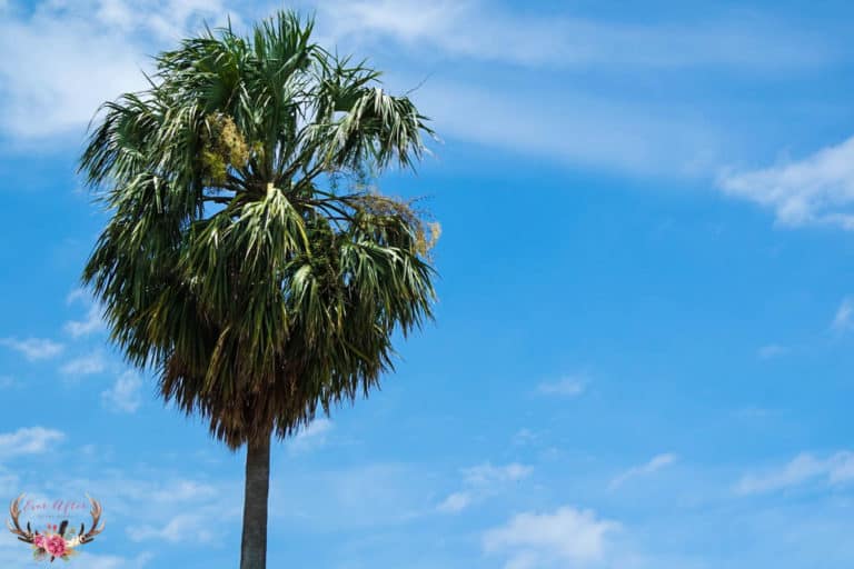 SAILMATES – Look Good, Feel Good!