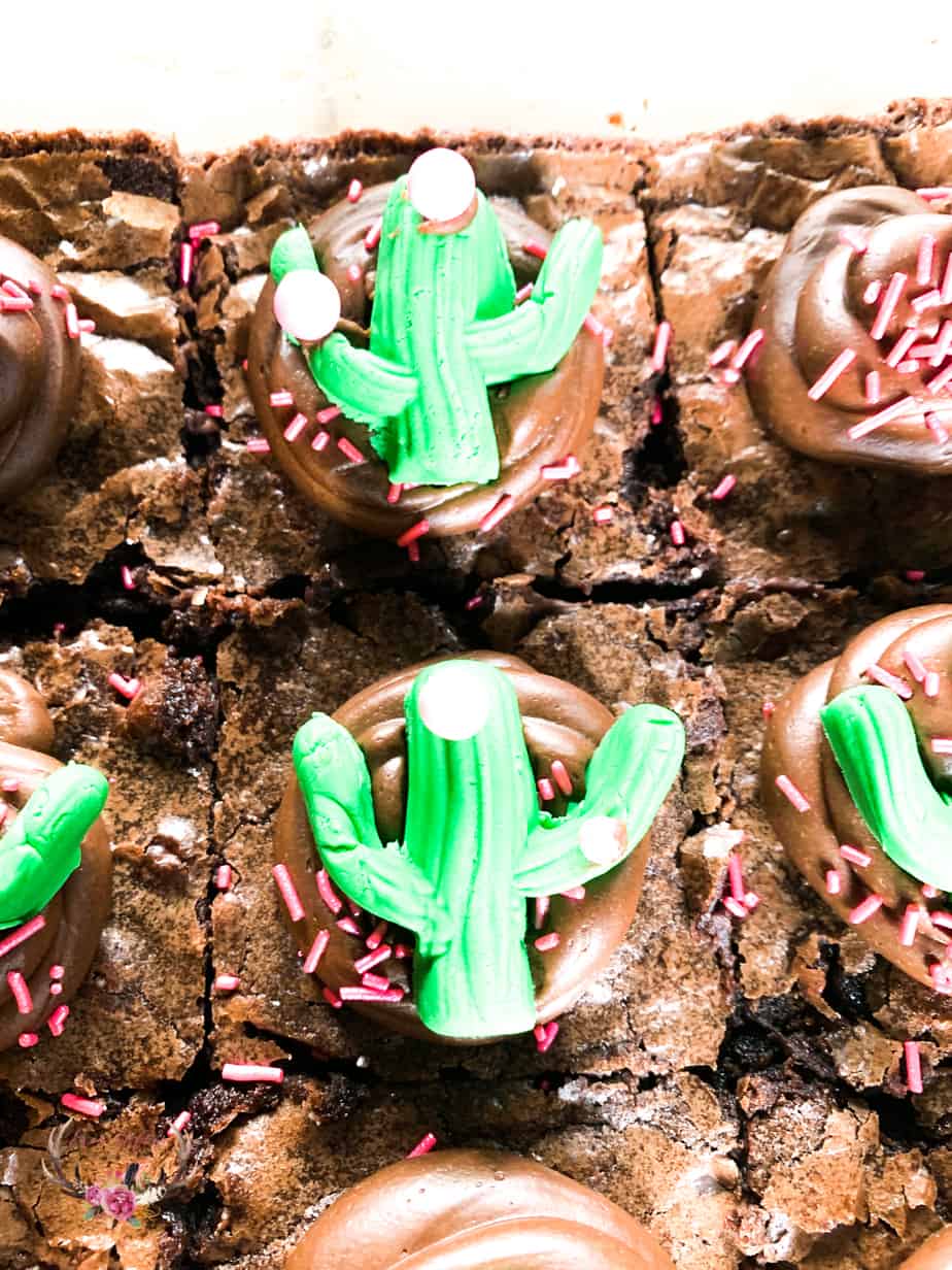 cactus cupcake topper edible cacti
