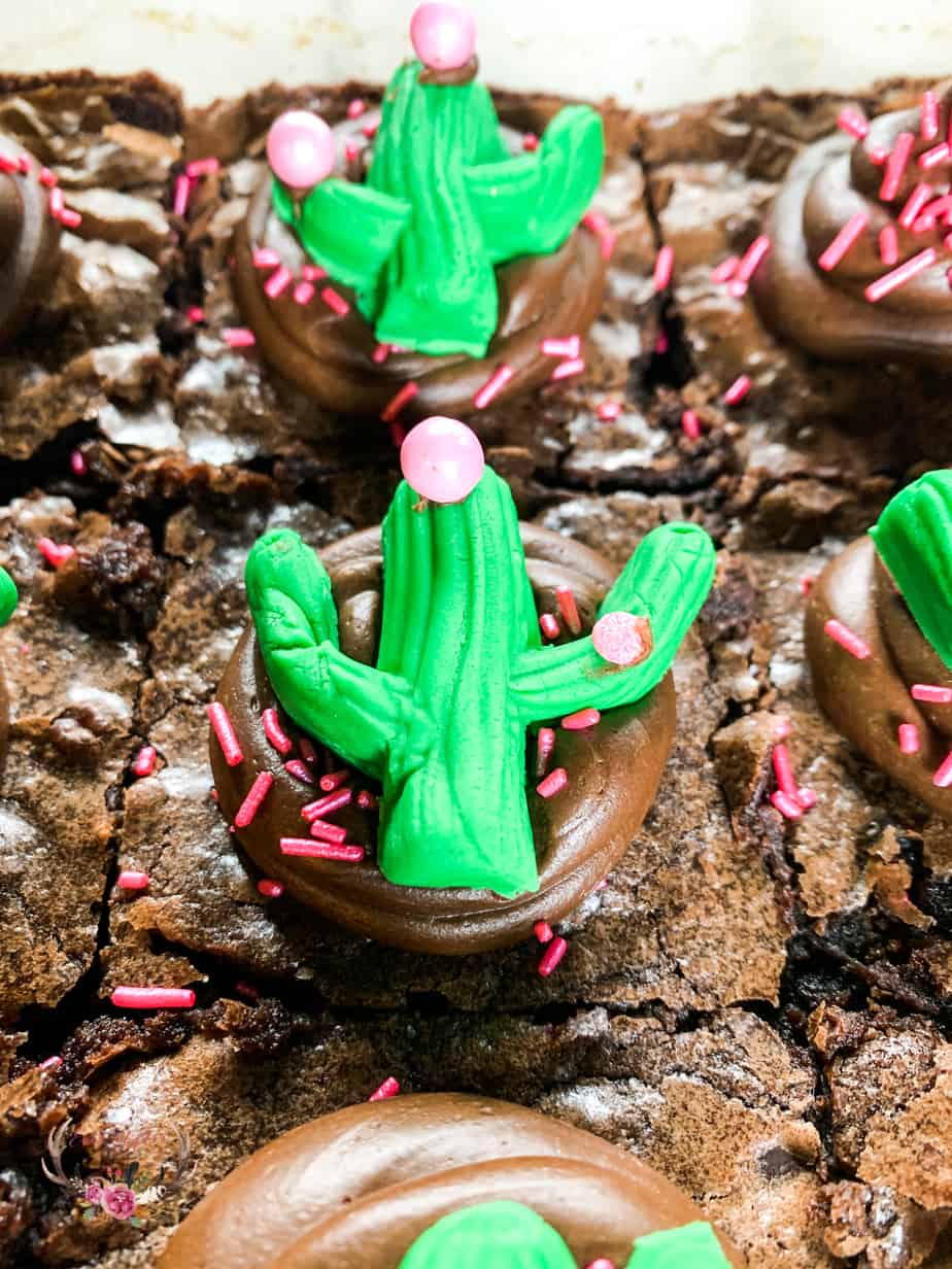 cactus cupcake topper edible cacti