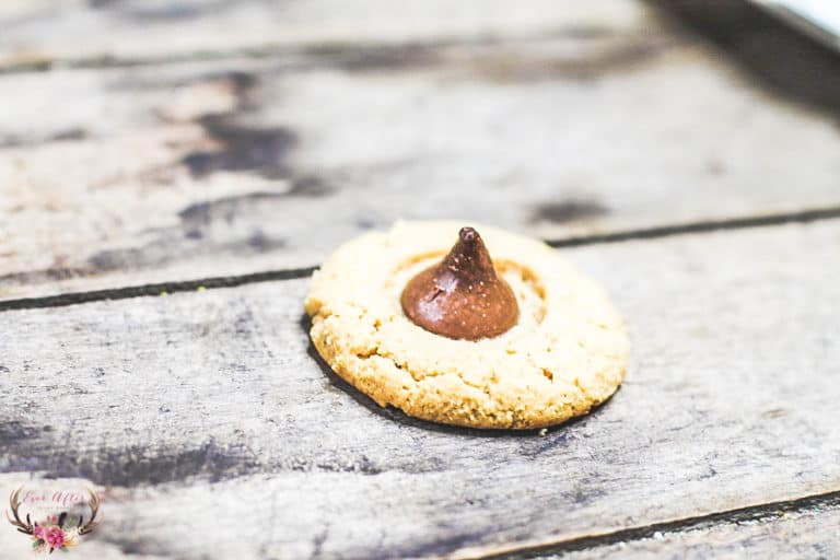 peanut butter blossom cookie recipe