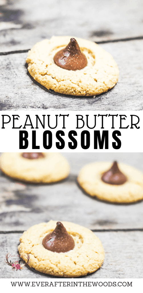 peanut butter blossom cookie recipe