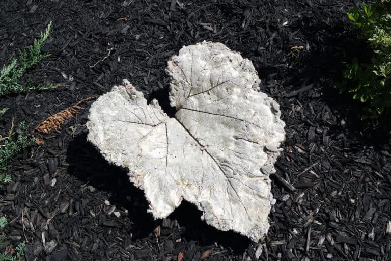 DIY Easy Concrete Leaf Sculpture
