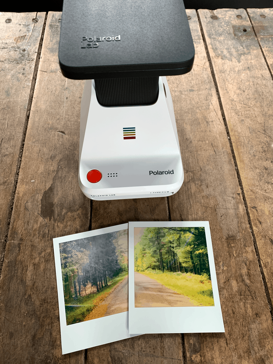 polaroid lab digital images