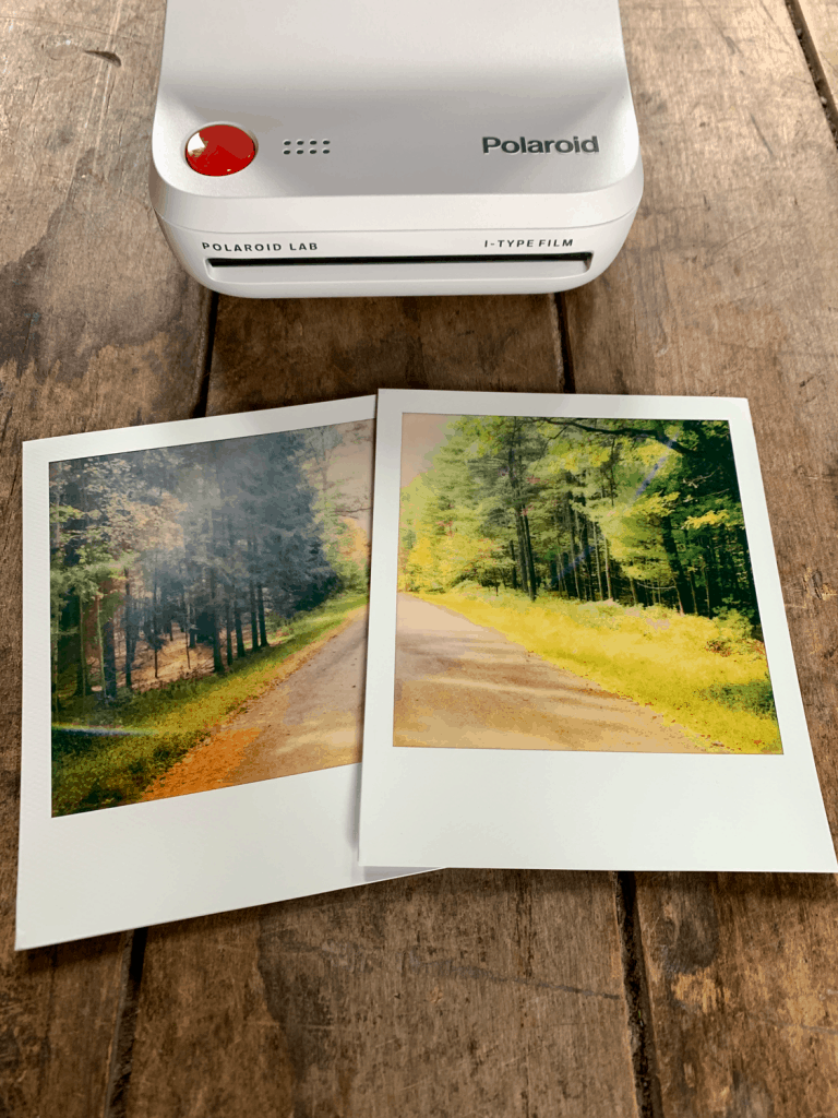 polaroid lab digital images