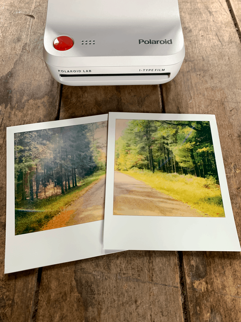 Make your Memories into Pictures with Polaroid Lab - Ever After in the Woods