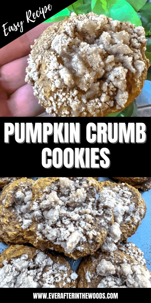 pumpkin crumb cookie recipe