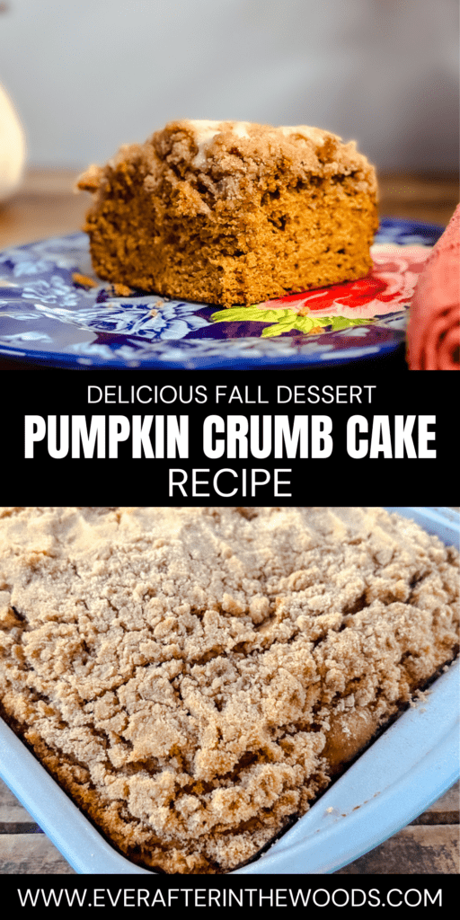 pumpkin cake with crumb topping