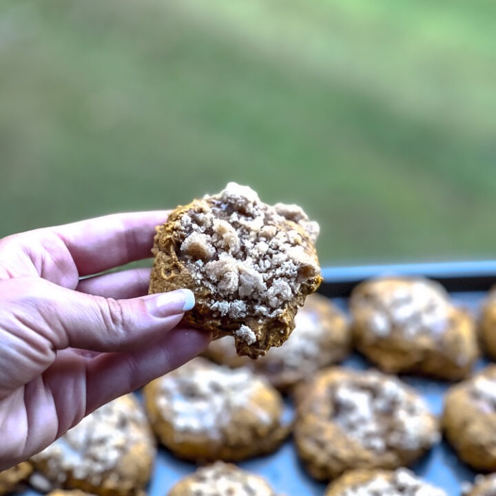 pumpkin crumb cookie recipe