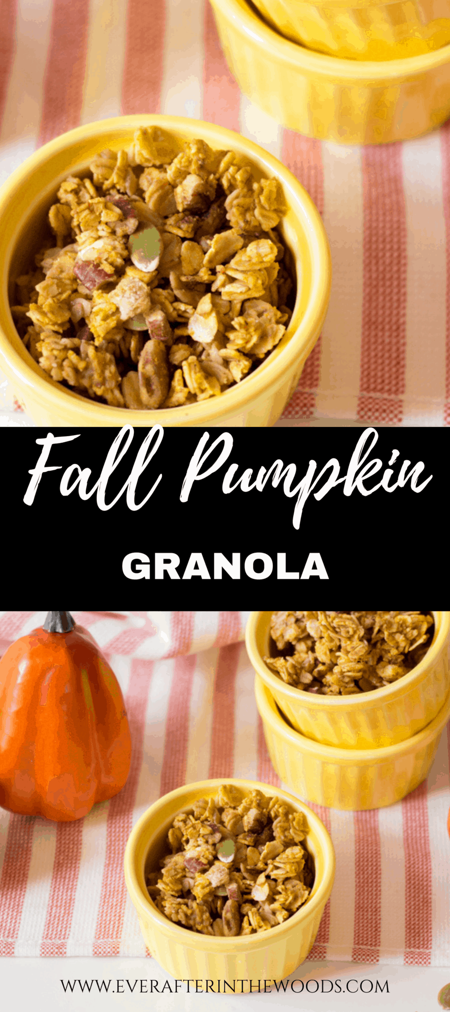 pumpkin spice granola recipe