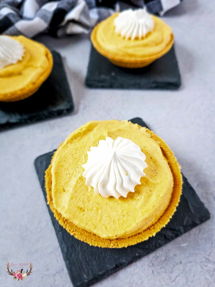 Small Pumpkin Pie Recipe