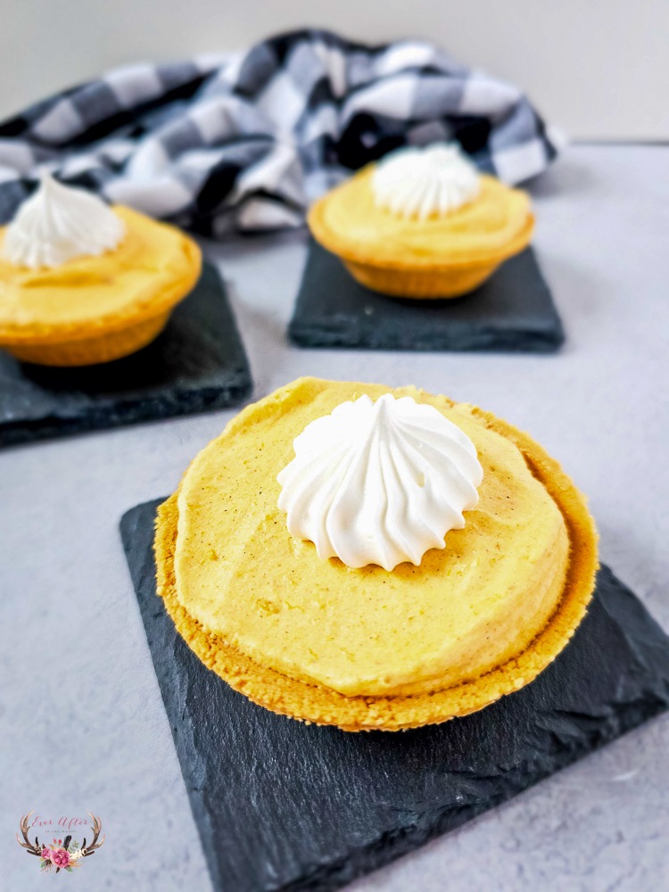 Small Pumpkin Pie Recipe