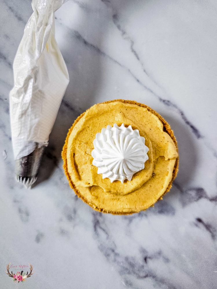 Small Pumpkin Pie Recipe