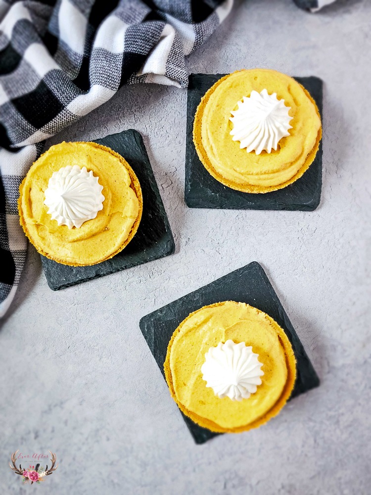 Small Pumpkin Pie Recipe