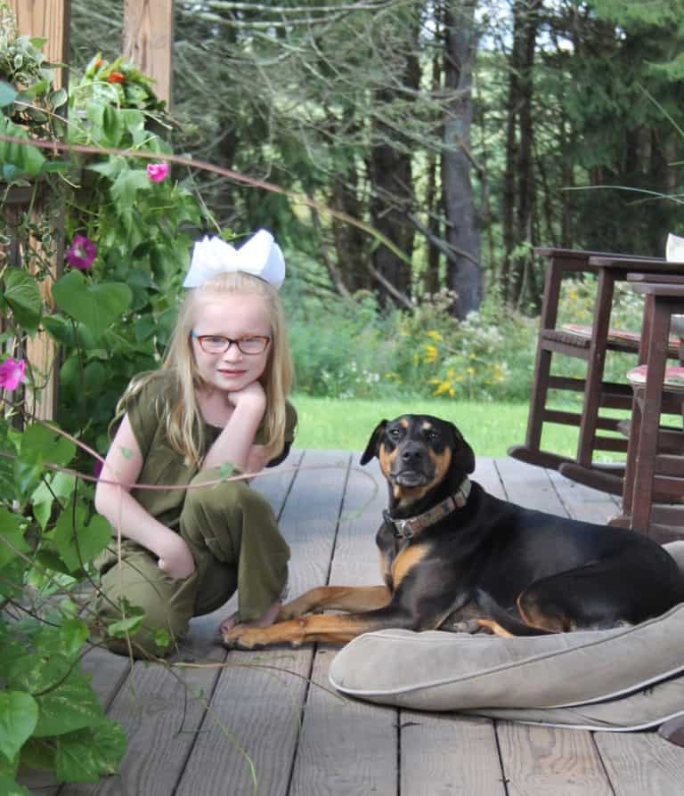 happy dog photo