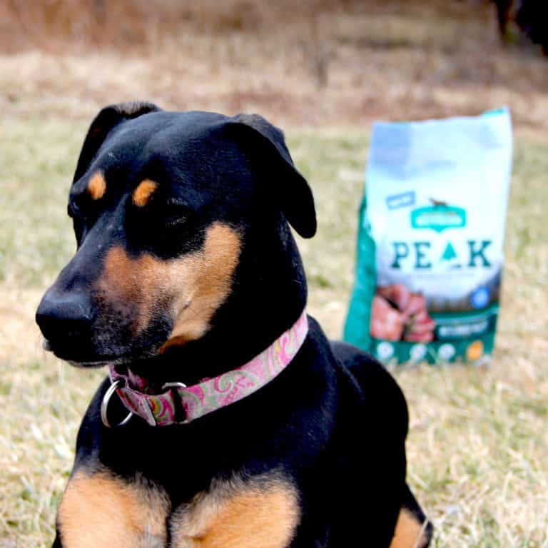 nutrish PEAK