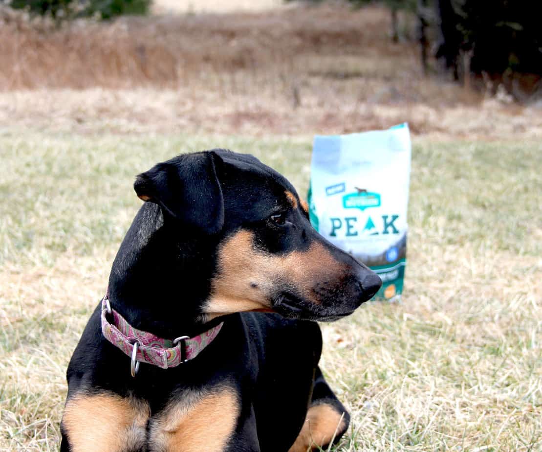 peak dog food