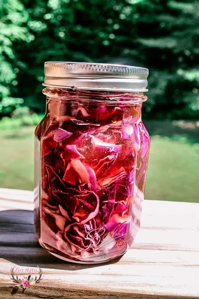 Easy Pickled Red Cabbage Ever After in the Woods