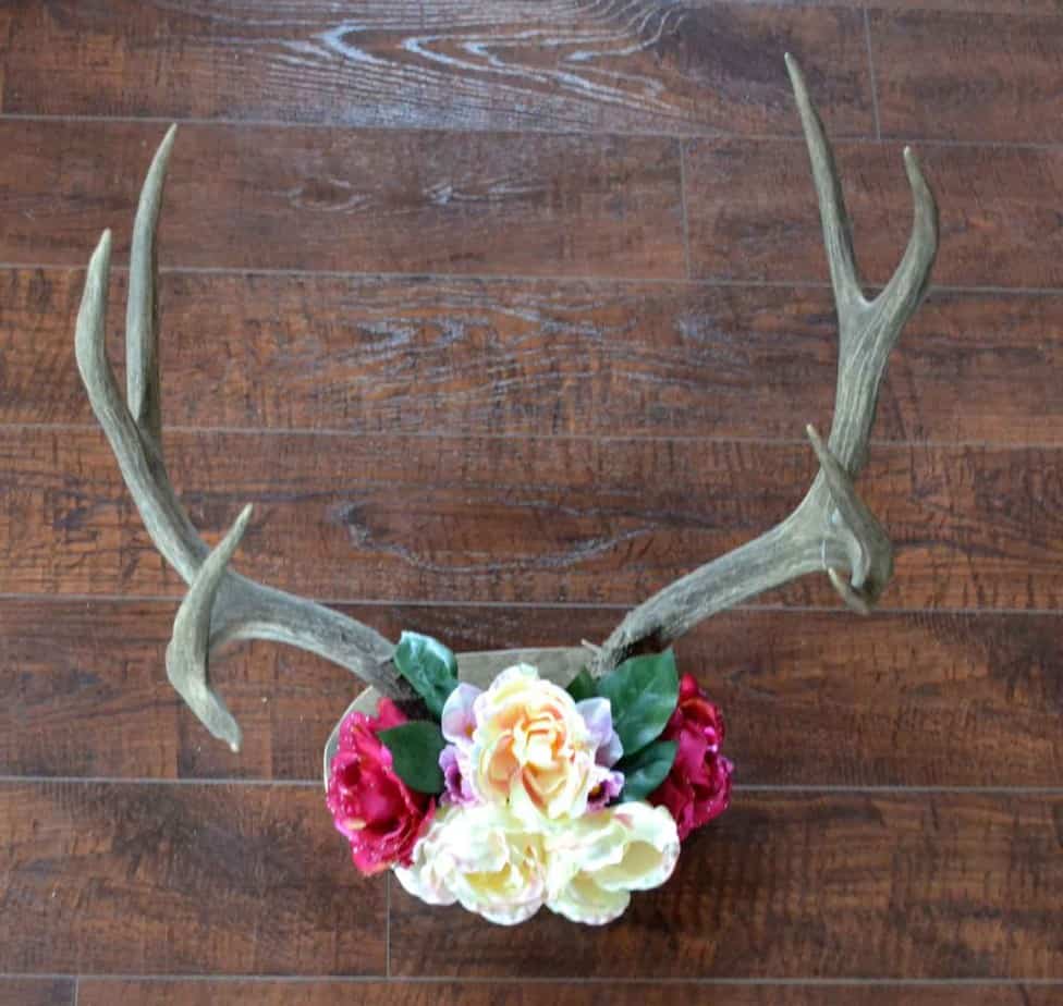 Rustic deer antler décor Diy antler décor Decorating with deer antler 