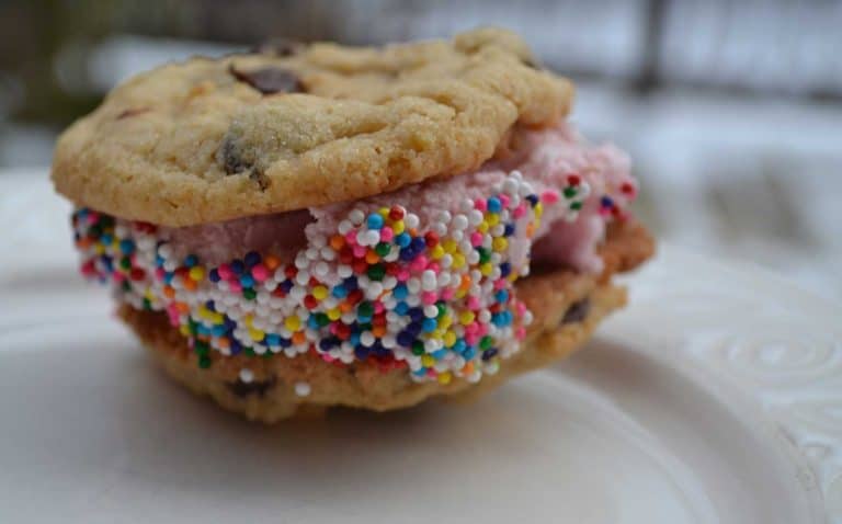 Homemade Ice Cream Sandwiches