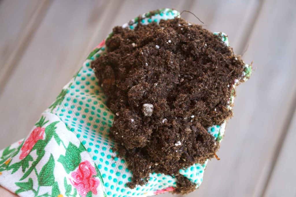 scptts-potting-soil