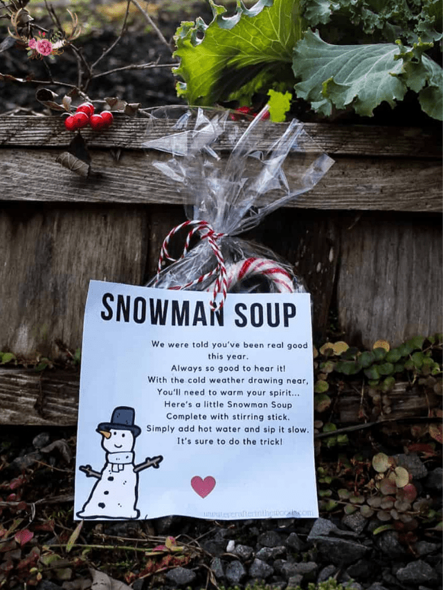 Snowman Soup