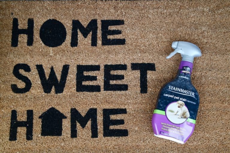 Keep Your Home Mess Free This Fall