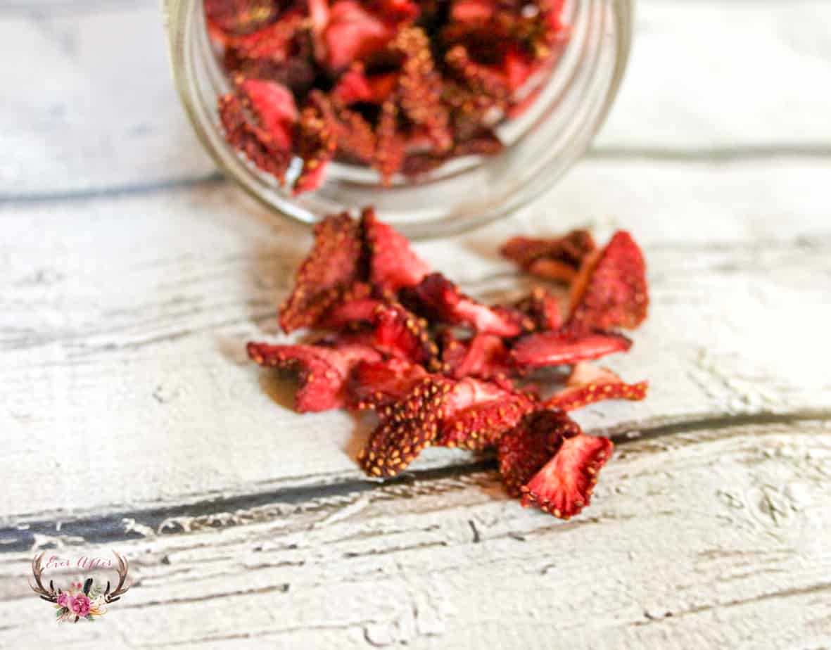 How To Dehydrate Strawberries Ever After In The Woods,Slippery Nipple