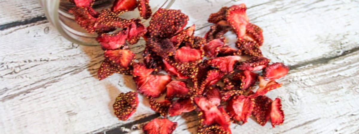 An easy recipe to dehydrate strawberries in an oven or a dehydrator. Use these berries as a salad topping or mixed into baked goods.