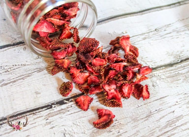 An easy recipe to dehydrate strawberries in an oven or a dehydrator. Use these berries as a salad topping or mixed into baked goods.