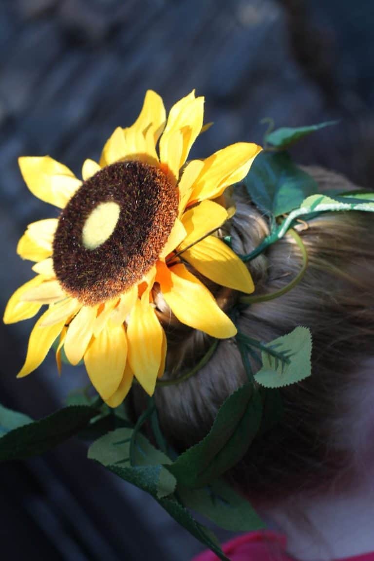 cheap ways for wacky silly hair bun