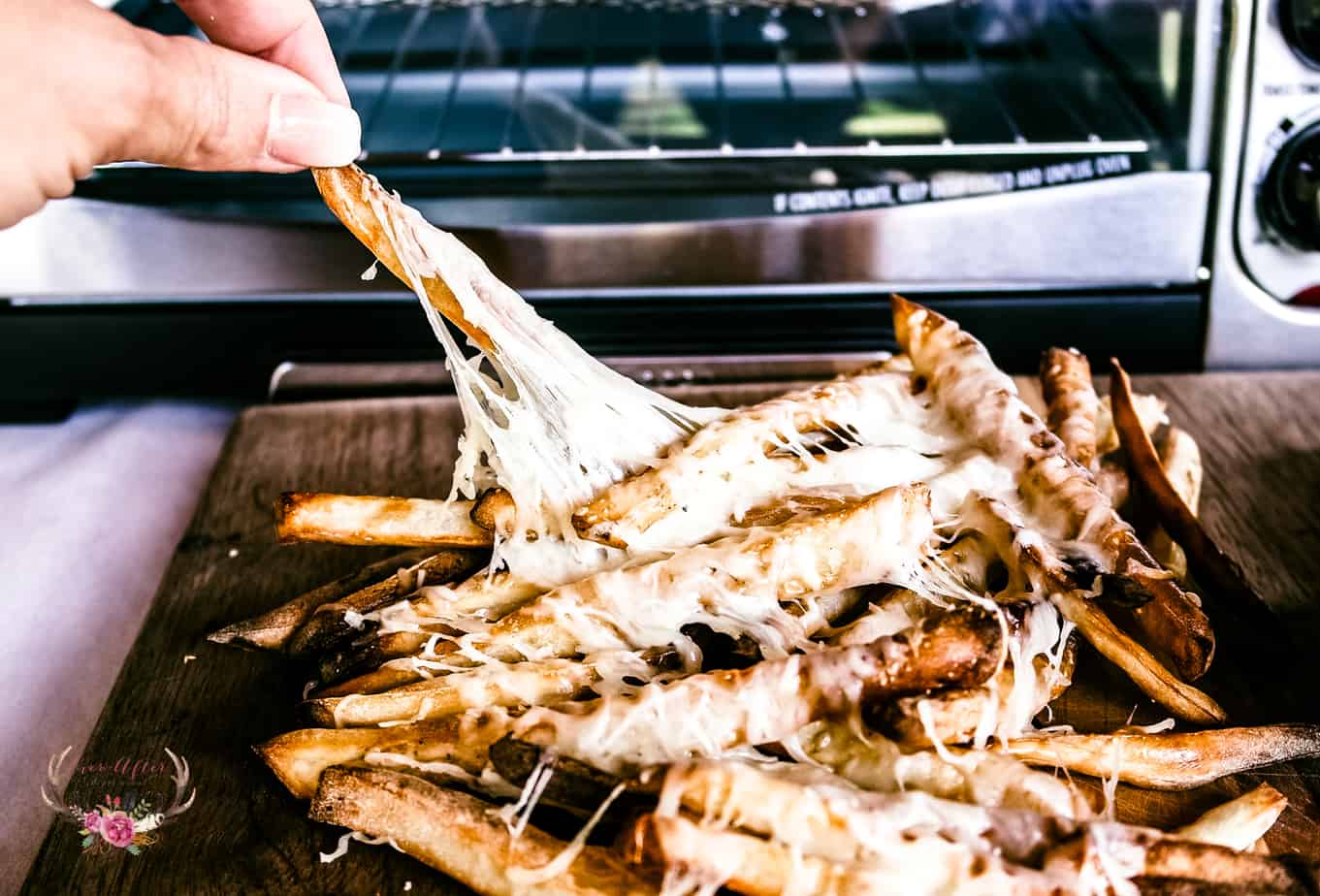 Ultimate Disco Fries with Hamilton Beach Air Fryer - Ever After in the Woods