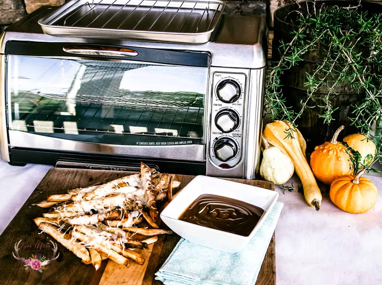 Ultimate Disco Fries with Hamilton Beach Air Fryer - Ever After in the Woods
