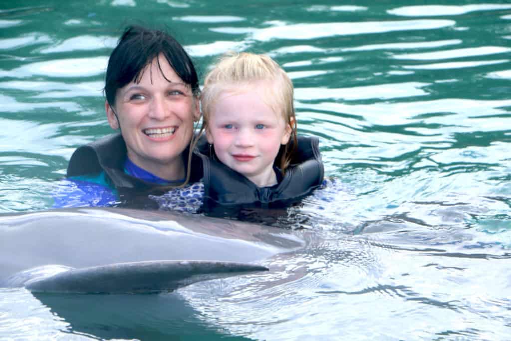 swimming-with-the-dolphins