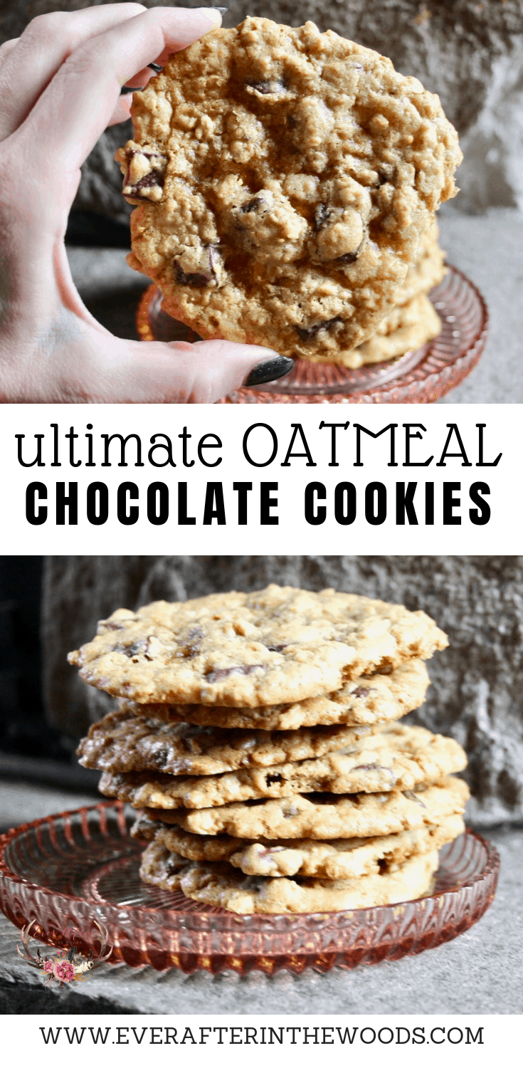 oatmeal chocolate chunk cookie recipe