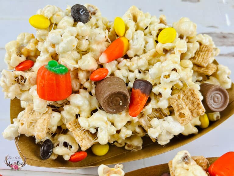 Best Fall Snack