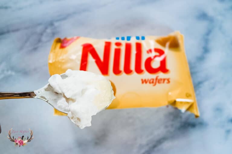 Walking Banana Pudding Recipe
