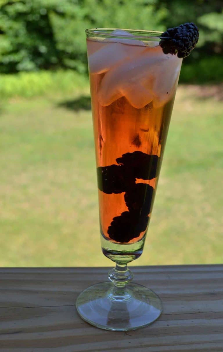 campari cocktail liqour