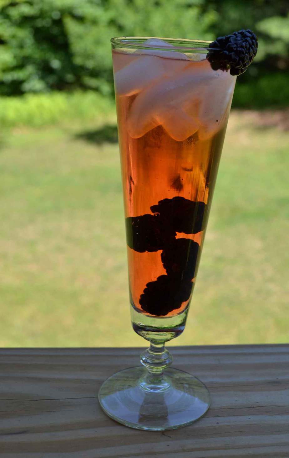 campari cocktail liqour