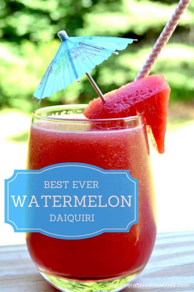 watermelon frozen drink slushie summer cocoktail daiquiri