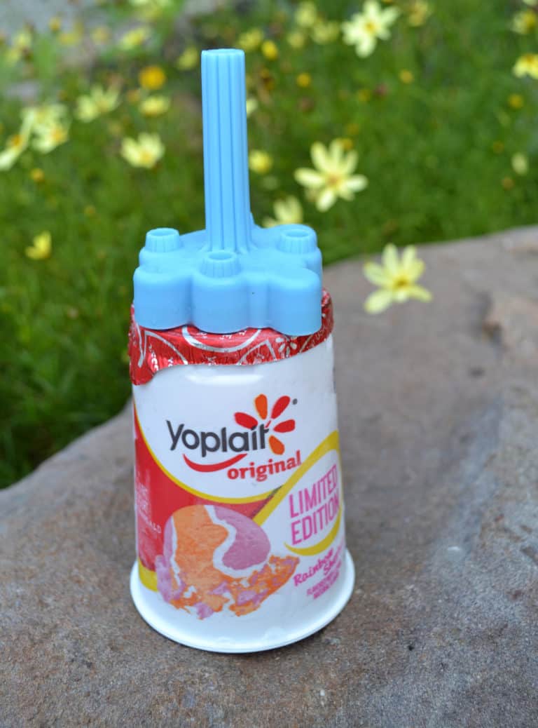 Easy Frozen Yogurt Pops- Perfect Summer Treat